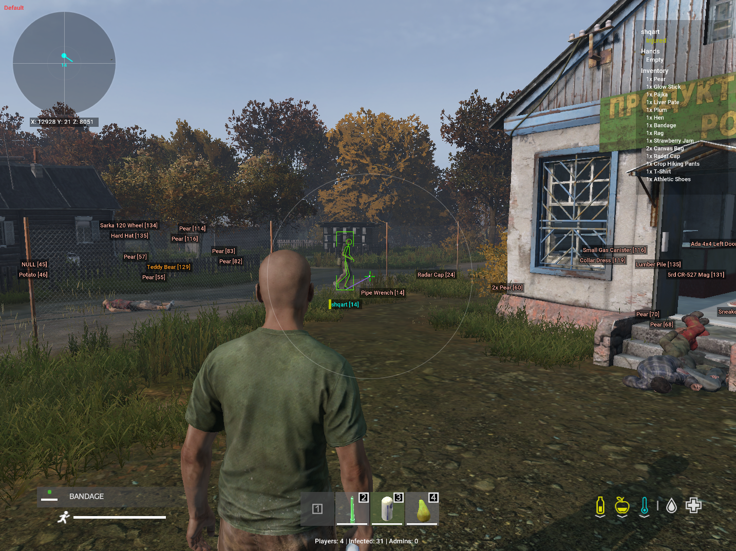 Dayz NextCheat Pro