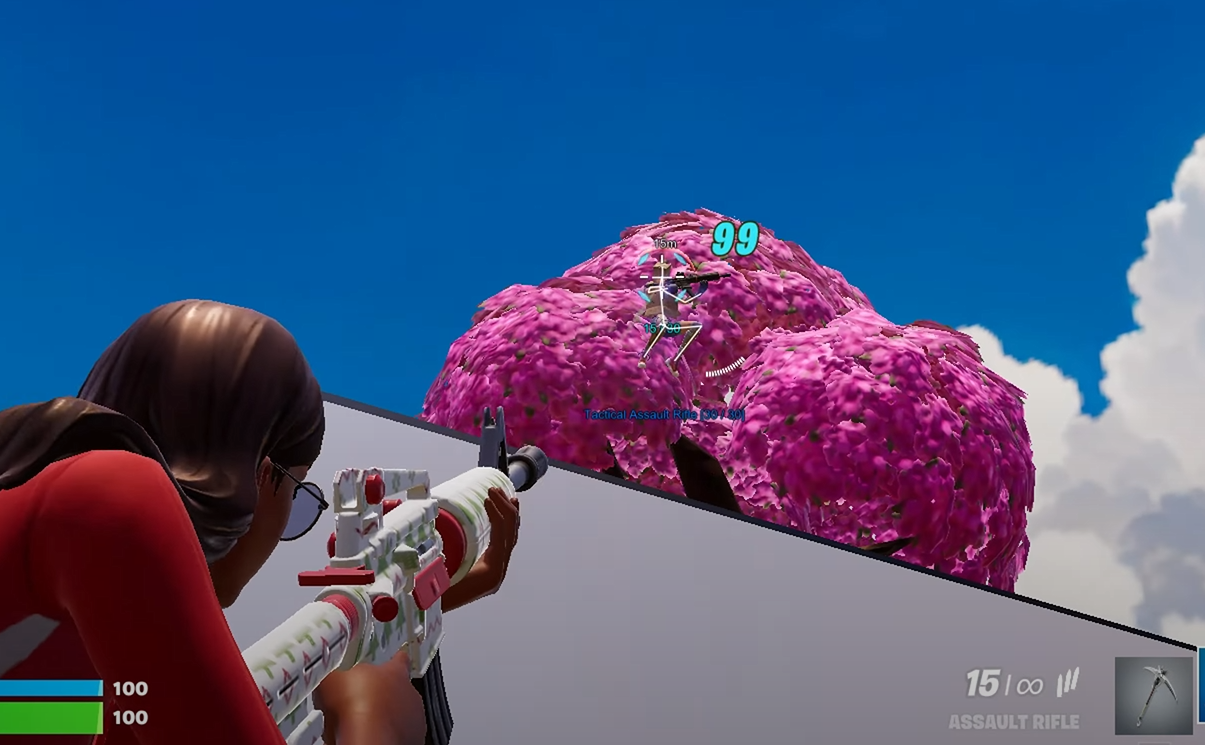 Fortnite VM Internal