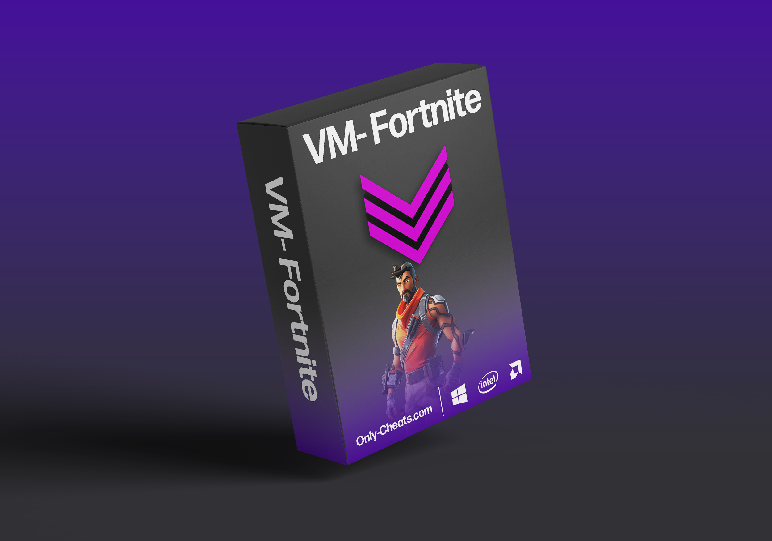 Fortnite VM Internal