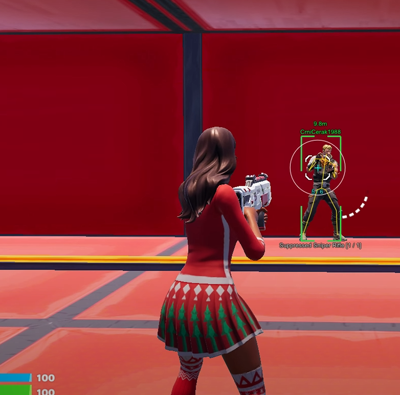 Fortnite VM Internal